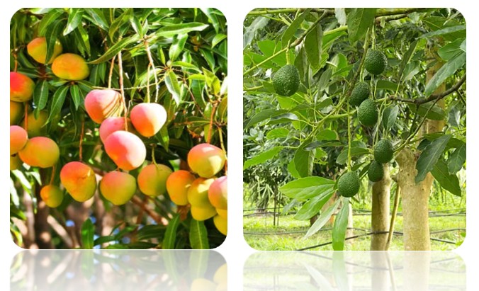 Capture d’écran 2025-10-28 101303